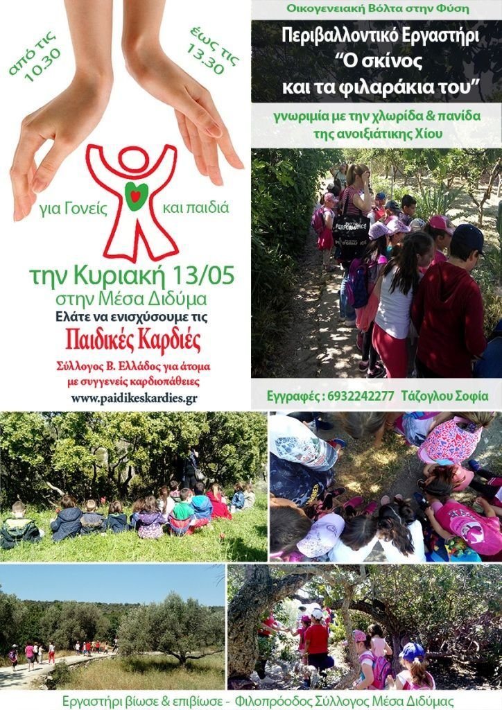 Η αφίσα της δράσης Η αφίσα της δράσης