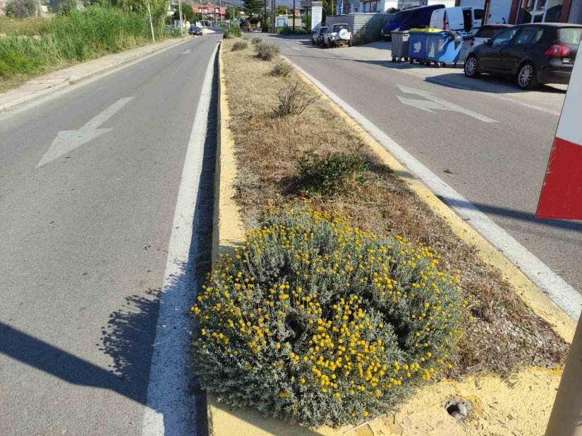 Οι νησίδες μετά το καθάρισμα