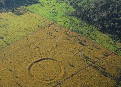 Μυστηριώδης ανακάλυψη: Η αποψίλωση του Αμαζονίου αποκάλυψε τεράστια γεώγλυφα Μερικά είναι 2 χιλ. ετών, μέσα σε θεωρούμενα ως τώρα παρθένα δάση