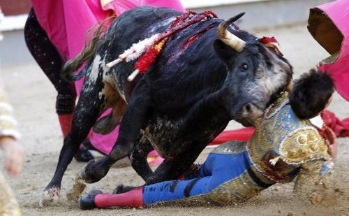  Σοκαριστικός τραυματισμός νεαρού ταυρομάχου στην πρώτη του ταυρομαχία - ΣΚΛΗΡΕΣ ΕΙΚΟΝΕΣ