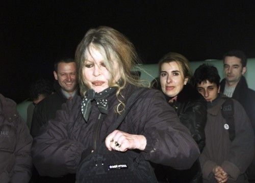 Γιατί η Μπριζίτ Μπαρντό δεν θέλει τη νίκη του Μακρόν Η σταρ του γαλλικού σινεμά επιτίθεται στον Εμανουέλ Μακρόν