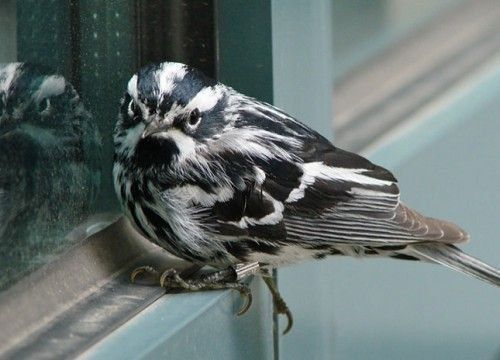 Τι υποστηρίζει μελέτη πανεπιστημίου 