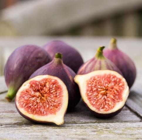 Φρέσκα σύκα