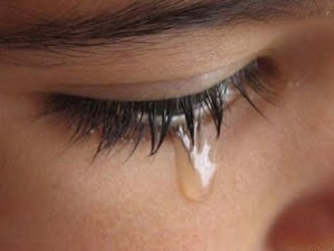 αρχείο αρχείο