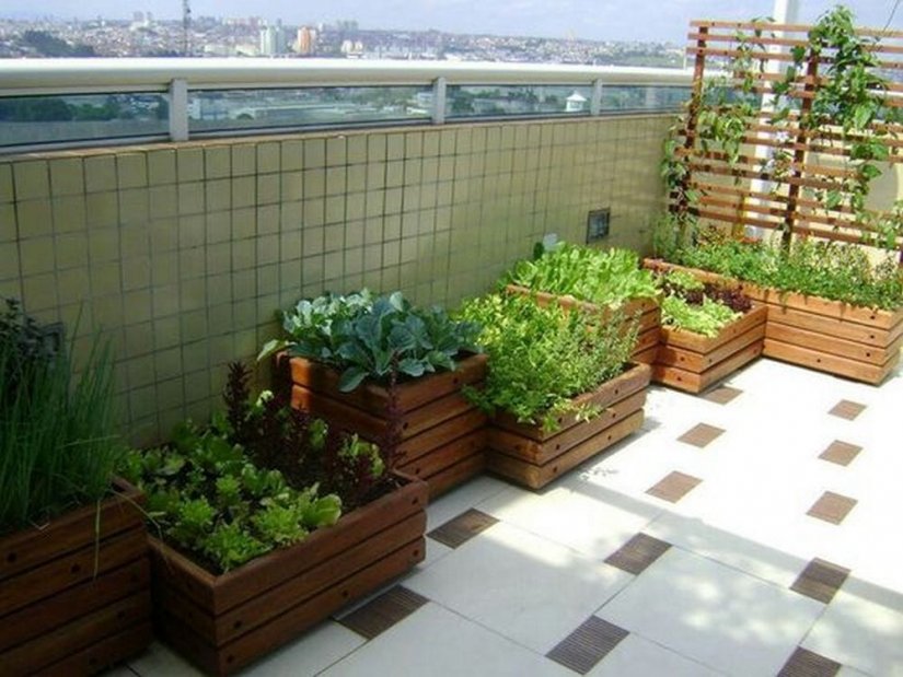balcony-vegetable-garden balcony-vegetable-garden