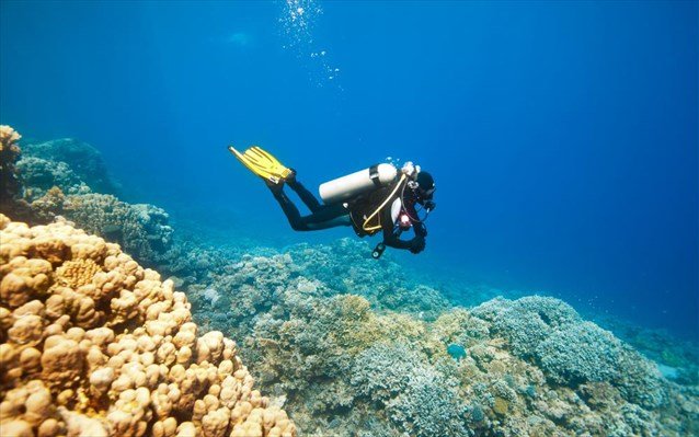 δύτης, βυθός