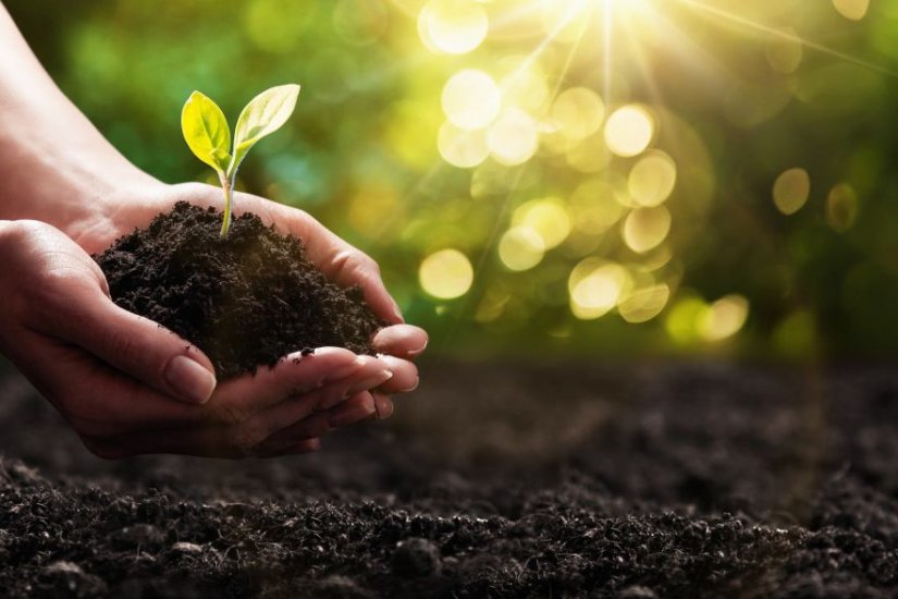 χέρια γυναίκας, φυτό, χώμα, φως χέρια γυναίκας, φυτό, χώμα, φως