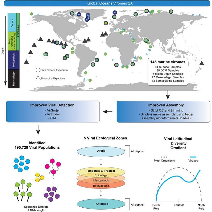 η «απογραφή» ιών της θάλασσας