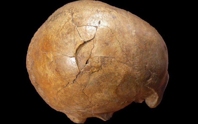 κρανίο κρανίο