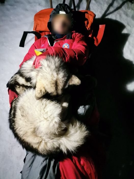 Σκύλος ζέσταινε με το σώμα του τραυματισμένο ορειβάτη για 13 ώρες
