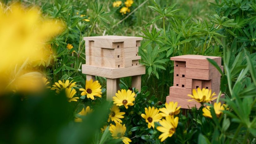 space_10_create_bee_home space_10_create_bee_home