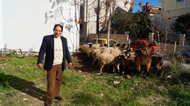 Καλή χρονιά με διαδήλωση... προβάτων