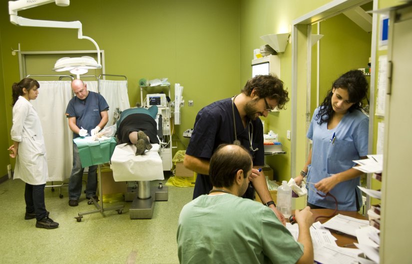 φωτο αρχείου