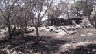 Κάηκε μεγάλο μέρος της Παφυλίδας Κάηκε μεγάλο μέρος της Παφυλίδας