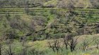 Η Εθνική Τράπεζα στηρίζει έμπρακτα τη Χίο με έργα αντιπλημμυρικής και αντιδιαβρωτικής προστασίας 