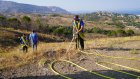 Ποτίστηκαν τα δεντράκια της δενδροφύτευσης του Φλεβάρη