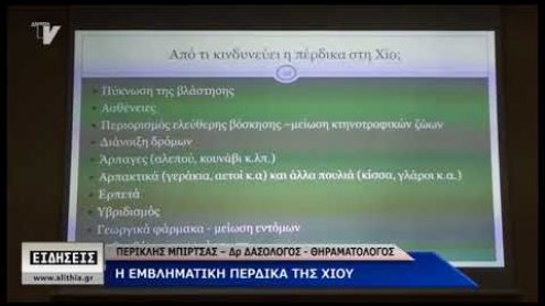 Η πέρδικα της Χίου