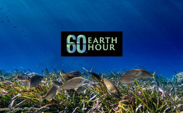 Φέτος, ας αφιερώσουμε μία ώρα για τον πλανήτη και την προστασία των θαλασσών μας!