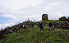 Η πρώτη μεγάλη δενδροφύτευση στη Βολισσό