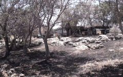 Κάηκε μεγάλο μέρος της Παφυλίδας Κάηκε μεγάλο μέρος της Παφυλίδας
