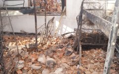 Λαβωμένο και το προσκοπικό κέντρο του Μανάγρου από τη φωτιά του Αυγούστου