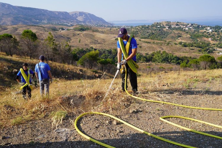 Ποτίστηκαν τα δεντράκια της δενδροφύτευσης του Φλεβάρη