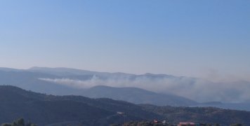 φωτο Βιβή Ποταμούση