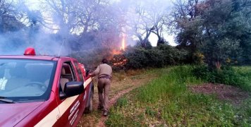φωτο αρχείου φωτο αρχείου