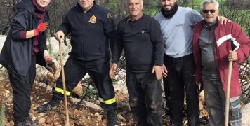 Από την δενδροφύτευση στον Δαφνώνα