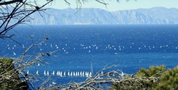 Περιφερειακοί αγώνες ιστιοπλοΐας 2019