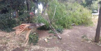 φωτο αρχείου φωτο αρχείου