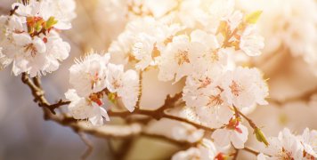 Τούτος ο Απρίλης όπως πάντα ήταν λίγο αλλοπρόσαλλος…