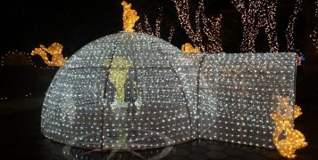 Φωτίστηκε γι' ακόμη μία χρονιά γιορτινά το Αργέντικο Φωτίστηκε γι' ακόμη μία χρονιά γιορτινά το Αργέντικο