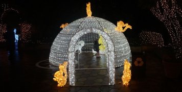 Φωτίστηκε γι' ακόμη μία χρονιά γιορτινά το Αργέντικο Φωτίστηκε γι' ακόμη μία χρονιά γιορτινά το Αργέντικο