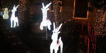 Φωτίστηκε γι' ακόμη μία χρονιά γιορτινά το Αργέντικο Φωτίστηκε γι' ακόμη μία χρονιά γιορτινά το Αργέντικο