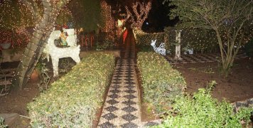 Φωτίστηκε γι' ακόμη μία χρονιά γιορτινά το Αργέντικο Φωτίστηκε γι' ακόμη μία χρονιά γιορτινά το Αργέντικο