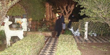 Φωτίστηκε γι' ακόμη μία χρονιά γιορτινά το Αργέντικο Φωτίστηκε γι' ακόμη μία χρονιά γιορτινά το Αργέντικο