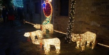 Φωτίστηκε γι' ακόμη μία χρονιά γιορτινά το Αργέντικο Φωτίστηκε γι' ακόμη μία χρονιά γιορτινά το Αργέντικο