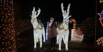 Φωτίστηκε γι' ακόμη μία χρονιά γιορτινά το Αργέντικο Φωτίστηκε γι' ακόμη μία χρονιά γιορτινά το Αργέντικο