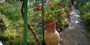 Ευτυχώς τα λύματα απορροφήθηκαν από τα χώματα στις αυλές