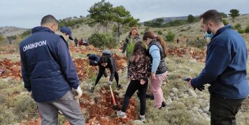 Μεγάλη δενδροφύτευση στα Αυγώνυμα την Κυριακή 20 Φεβρουαρίου 2022