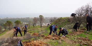 Μεγάλη και μαζική δενδροφύτευση στον Άγιο Δημήτριο Τσαγκαράδων με πρωτοβουλία του "Όλοι Μαζί Μπορούμε"