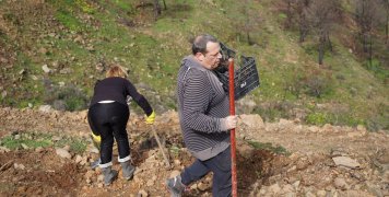Μεγάλη και μαζική δενδροφύτευση στον Άγιο Δημήτριο Τσαγκαράδων με πρωτοβουλία του "Όλοι Μαζί Μπορούμε"
