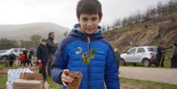 Μεγάλη και μαζική δενδροφύτευση στον Άγιο Δημήτριο Τσαγκαράδων με πρωτοβουλία του "Όλοι Μαζί Μπορούμε"