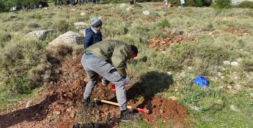 Πετυχημένη δενδροφύτευση στην περιοχή του Κορακάρη