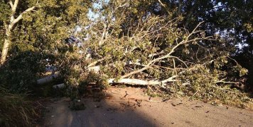 φωτο αρχείου φωτο αρχείου