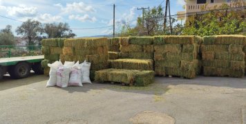 25 τόνοι τριφύλλι από την εταιρεία Κολλάκη στους κτηνοτρόφους