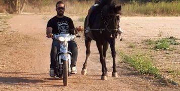 Επιδείξεις από τον Ιππικό Όμιλο Χίου