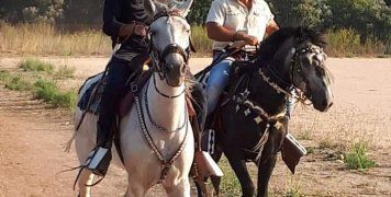 Επιδείξεις από τον Ιππικό Όμιλο Χίου