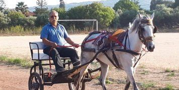 Επιδείξεις από τον Ιππικό Όμιλο Χίου